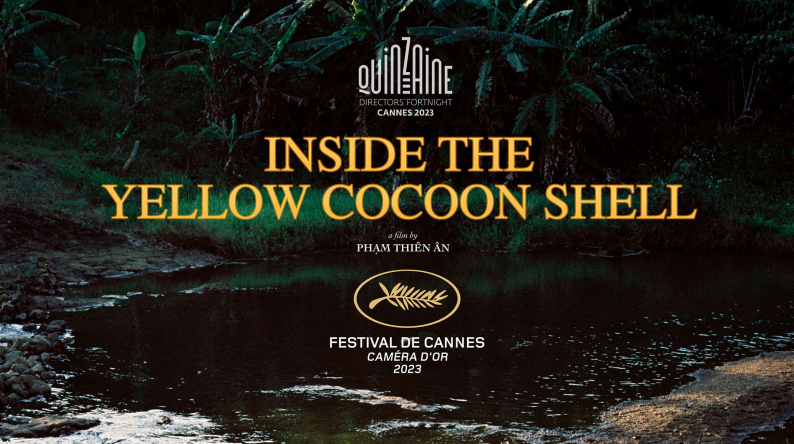 Inside The Yellow Cocoon Shell